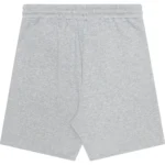 BAPE APEE TRACK SHORTS-GRAY